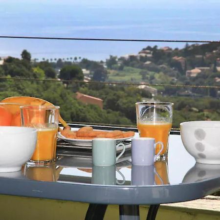 Cap Corse Uribellinu 2 Formule Petit Dejeuner Santa-Maria-di-Lota Exteriör bild