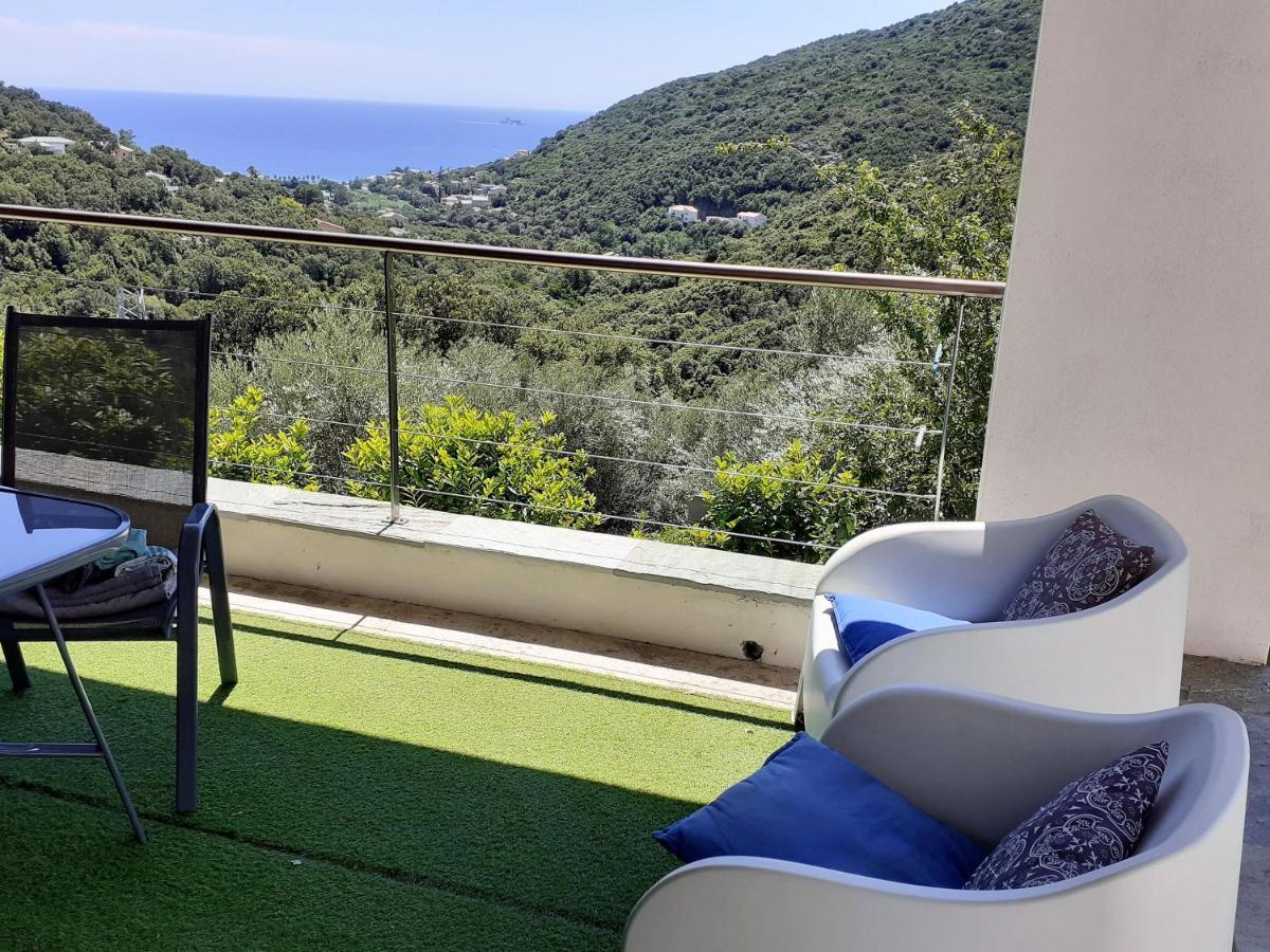 Cap Corse Uribellinu 2 Formule Petit Dejeuner Santa-Maria-di-Lota Exteriör bild