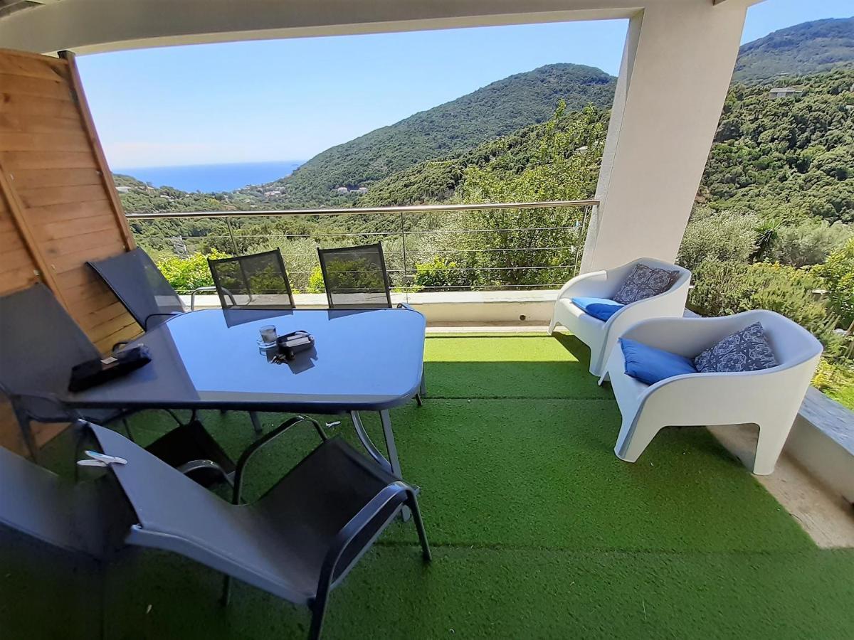 Cap Corse Uribellinu 2 Formule Petit Dejeuner Santa-Maria-di-Lota Exteriör bild