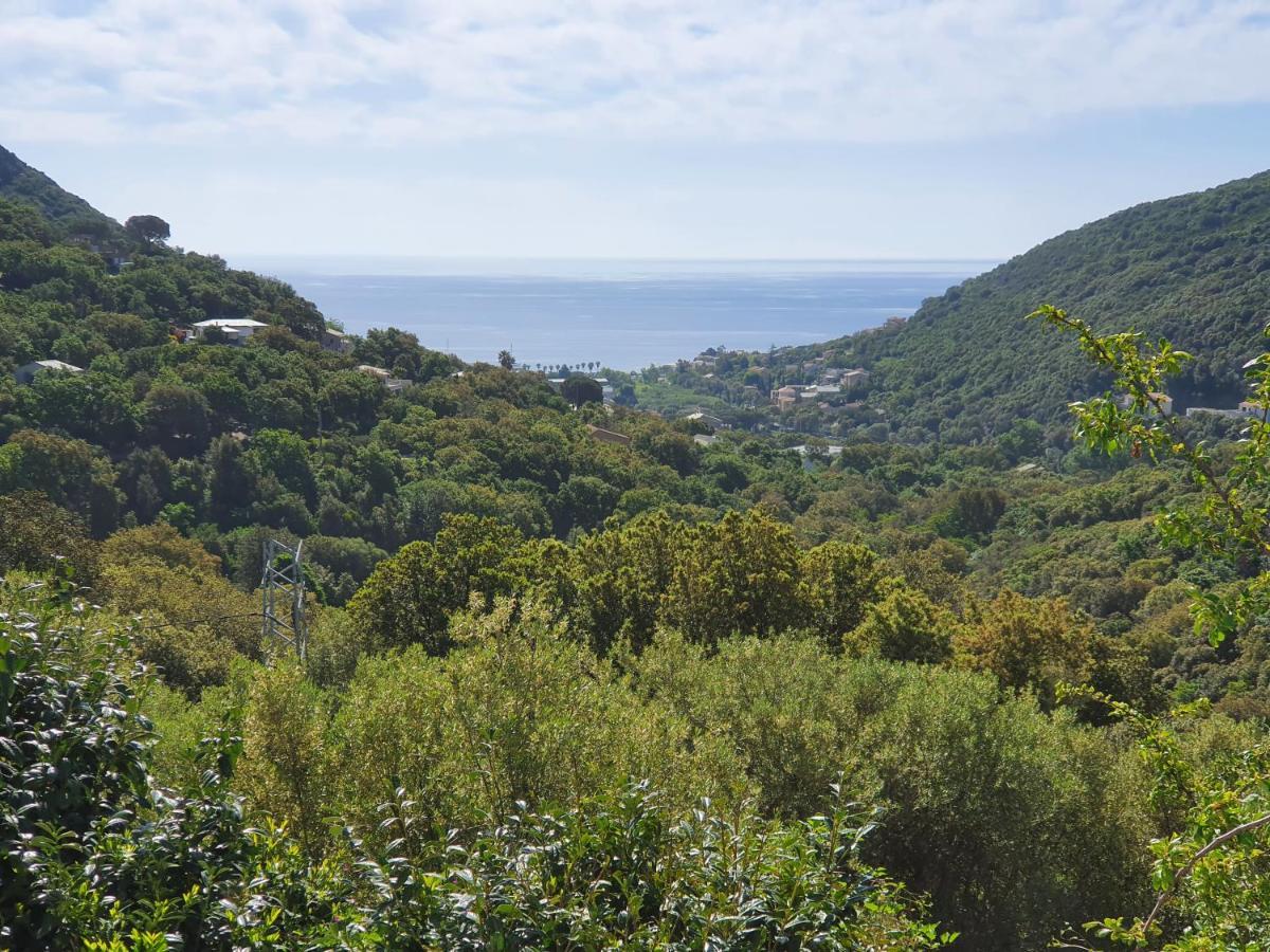 Cap Corse Uribellinu 2 Formule Petit Dejeuner Santa-Maria-di-Lota Exteriör bild